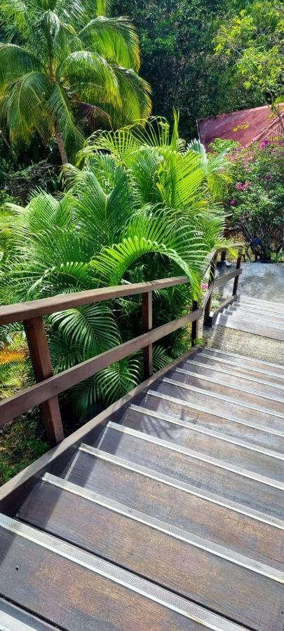 Bungalow Et Duplex De Island Bay Villa Bouillante Buitenkant foto