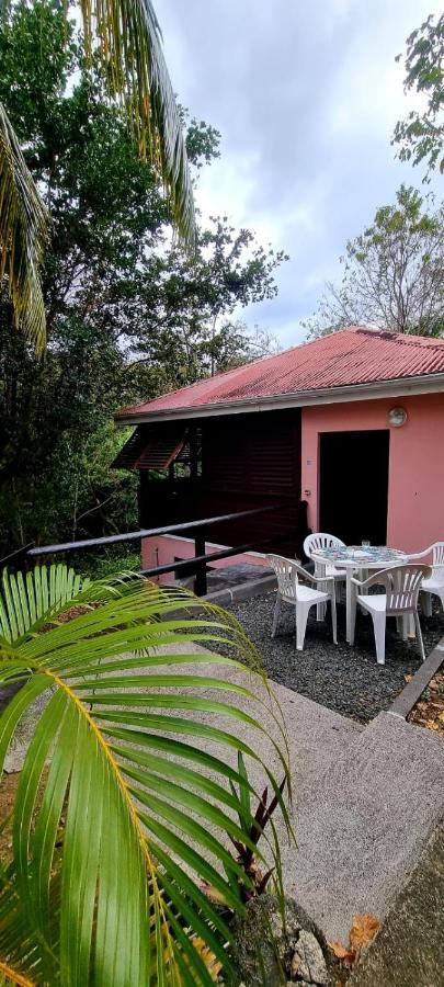 Bungalow Et Duplex De Island Bay Villa Bouillante Buitenkant foto