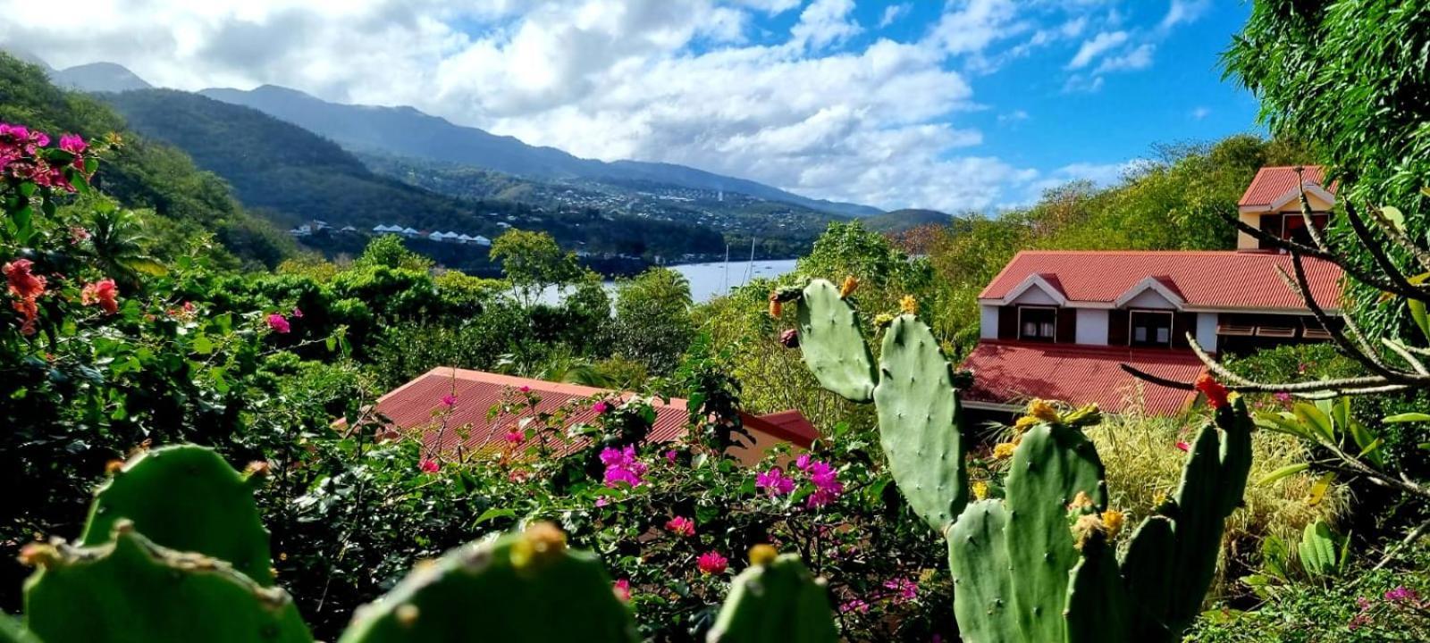 Bungalow Et Duplex De Island Bay Villa Bouillante Buitenkant foto